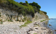Bornholm - Sedimente, Fossilien und Landschaft