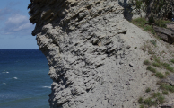 Fossilien und Geologie der Insel Gotland - eine Projektarbeit