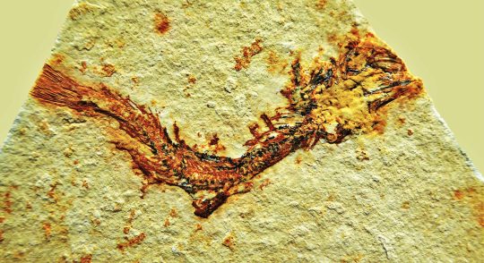 Extrablatt! – Geo-News der letzten Jahre @ MARUM - Zentrum für Marine Umweltwissenschaften der Universität Bremen | Bremen | Bremen | Deutschland