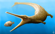 Magyarosuchus fitosi: 180 Millionen Jahre altes Fossil ist ein "Missing Link’" in der Krokodil-Evolution