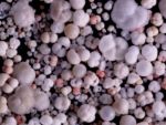 Foraminiferen - eine mikroskopische Reise in die Vergangenheit der Ozeane