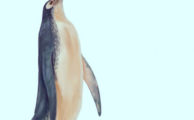 Kawhia Giant Penguin