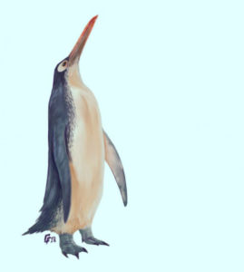 Kawhia Giant Penguin