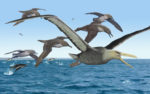 Neue Fossilien eines Riesenvogels in der Antarktis