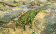 Paläontologen finden erste Dinosaurierfossilien in Irland