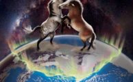 Eurasische Pferde stammen von nordamerikanischen Pferden vor einer Mio. Jahre ab