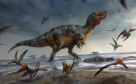 Neuer Spinosaurier von der Insel Wight