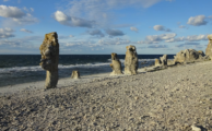 Tropische Korallen am Rande des Baltikums – das Silur von Gotland