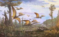 Neuer Flugsaurier von der Insel Skye identifiziert