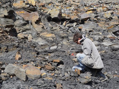 Exkursion: Fossilienjagd im Piesberg – Tauche ein in die Erdgeschichte und sichere dir einzigartige Funde! @ MARUM - Zentrum für Marine Umweltwissenschaften der Universität Bremen | Bremen | Bremen | Deutschland